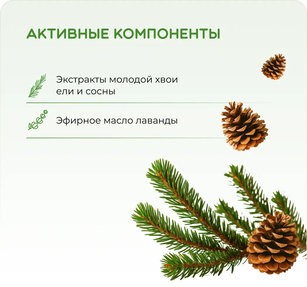 Хвойные сны